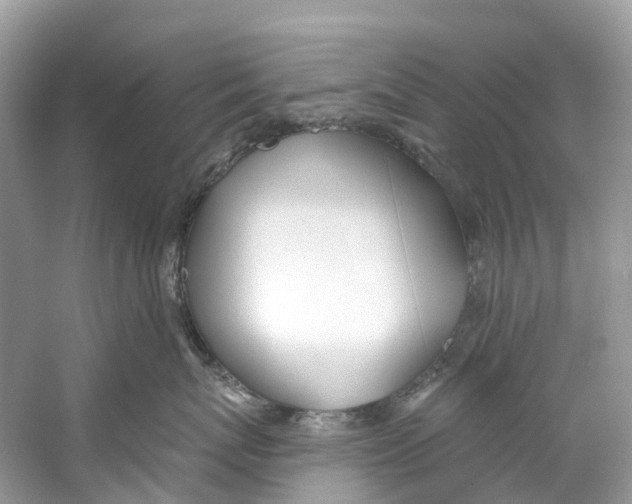 X0000059820767200511181607