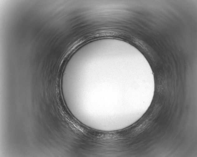 X0000059820786200511181606