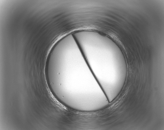 X0000059820797200511181606