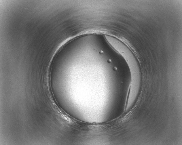 X0000059820854200511181605