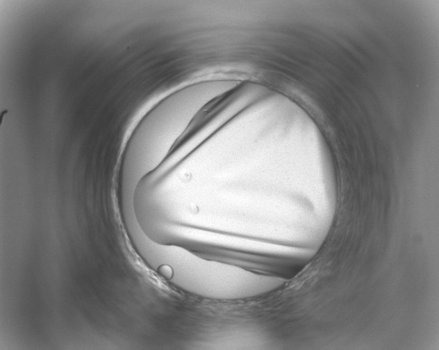 X0000059820960200511181604