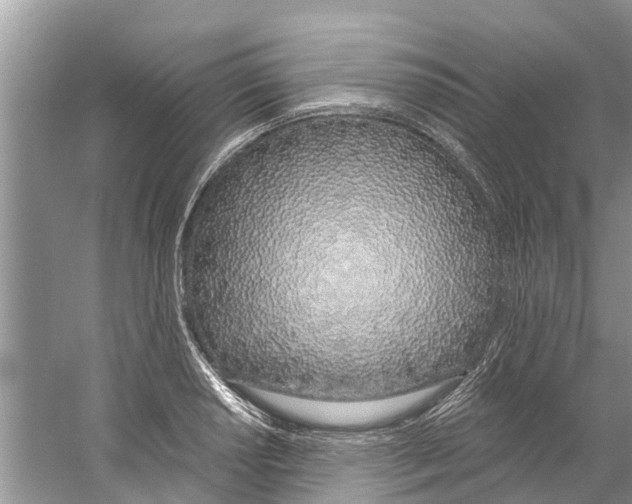 X0000059821034200511181602