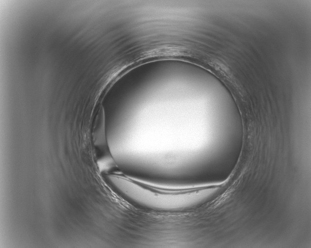 X0000059821081200511181601