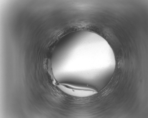 X0000059821156200511181600