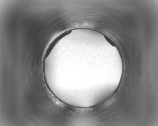 X0000059821200200511181559
