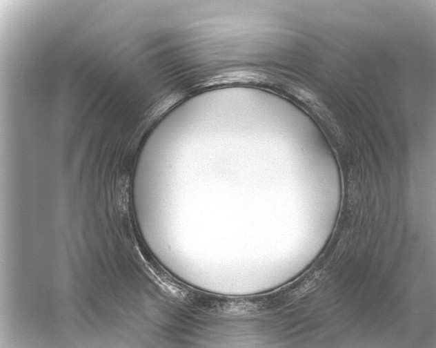 X0000059821233200511181559
