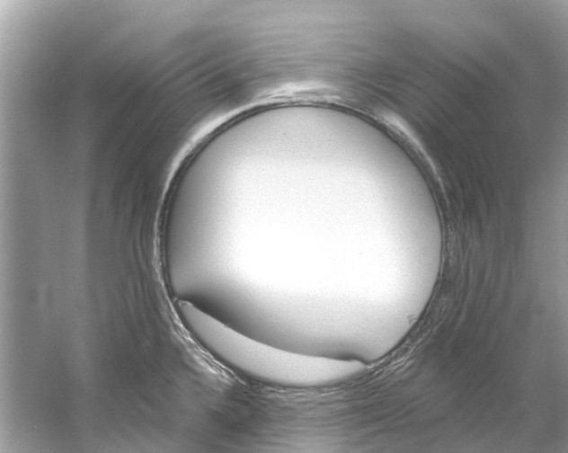 X0000059821336200511181557