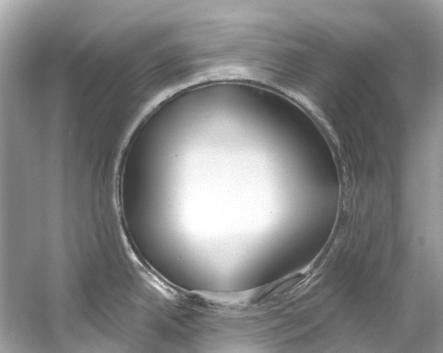 X0000059821342200511181557