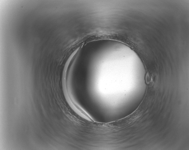 X0000059821348200511181556