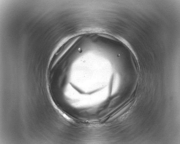 X0000059821389200511181556