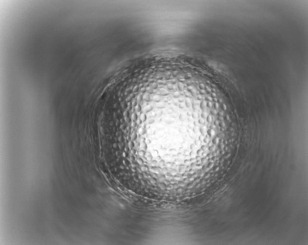 X0000059821445200511181555
