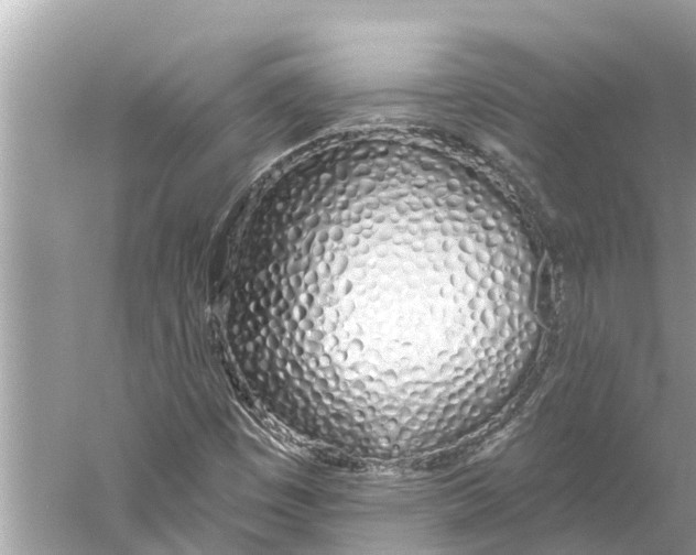 X0000059821449200511181555