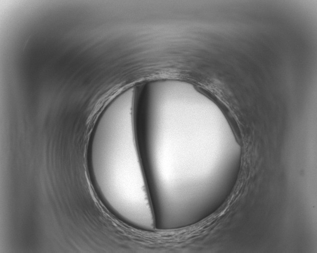 X0000059830001200510211034