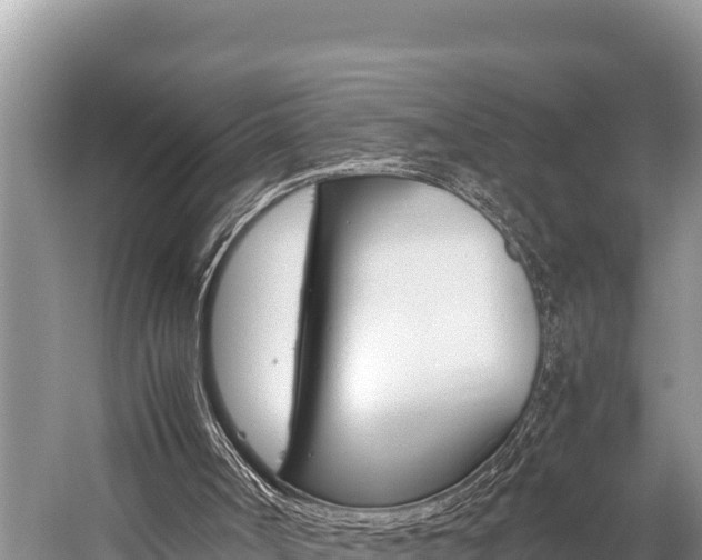 X0000059830002200510211034