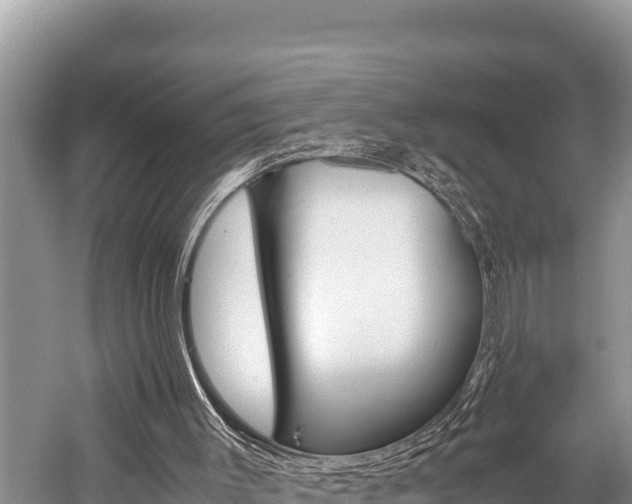 X0000059830003200510211034