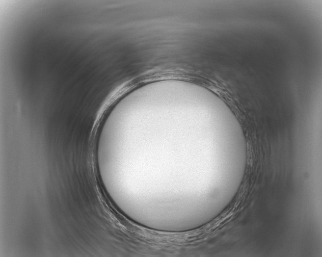 X0000059830004200510211034