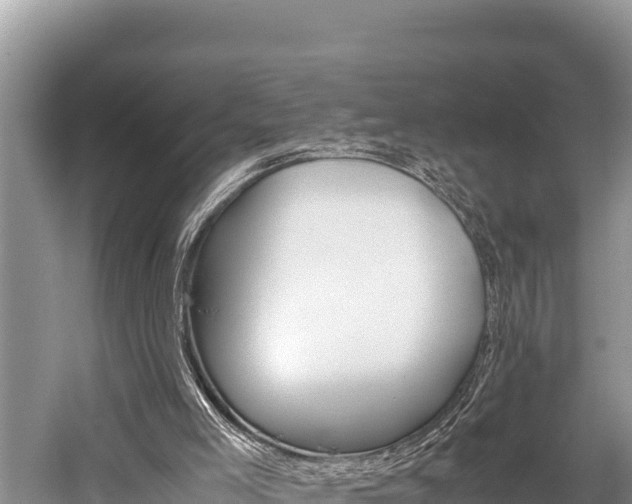 X0000059830005200510211034