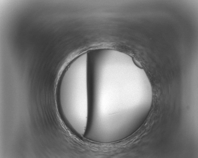 X0000059830006200510211034