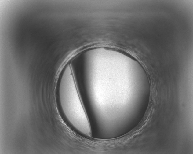 X0000059830007200510211034