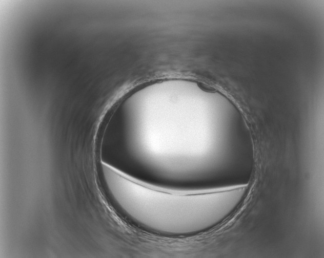 X0000059830008200510211034