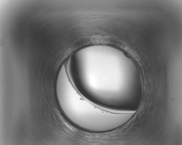 X0000059830009200510211034