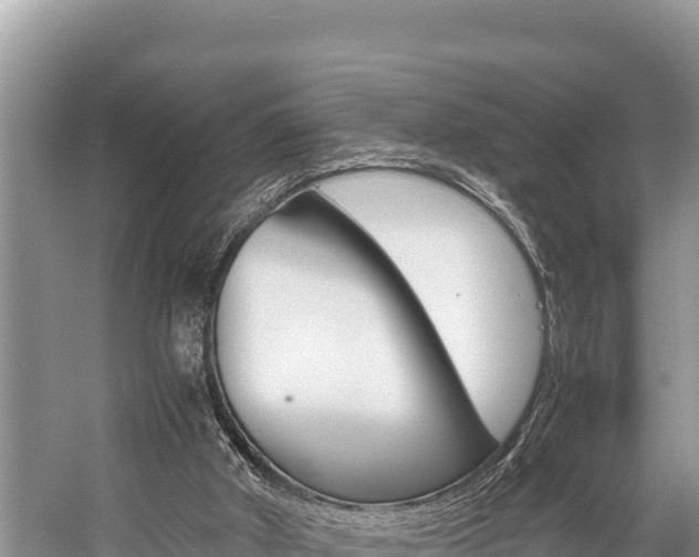 X0000059830010200510211034