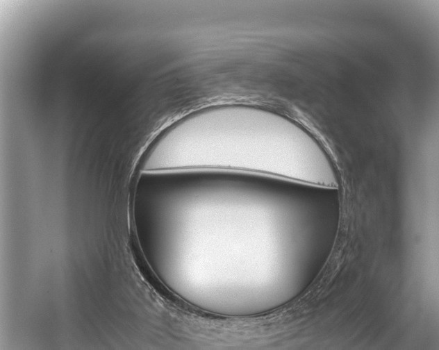 X0000059830011200510211034