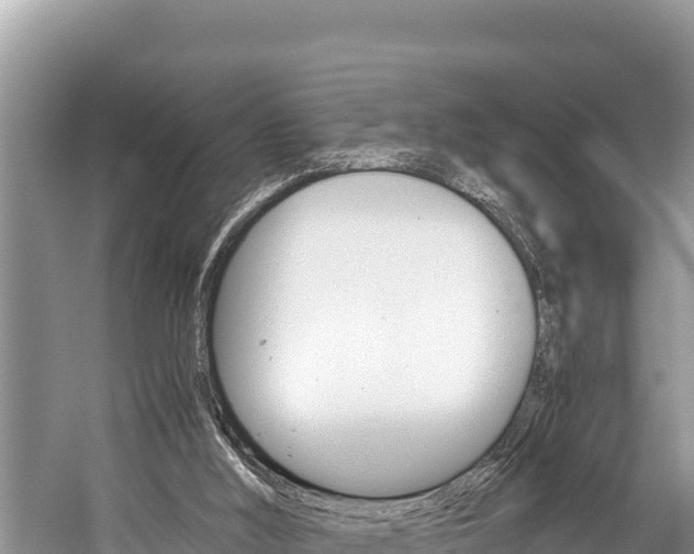 X0000059830012200510211034