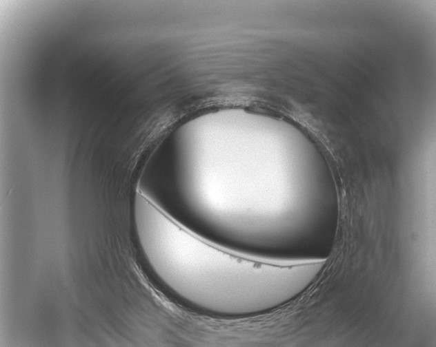 X0000059830013200510211034