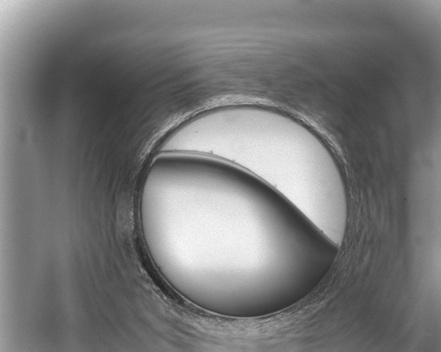 X0000059830015200510211034