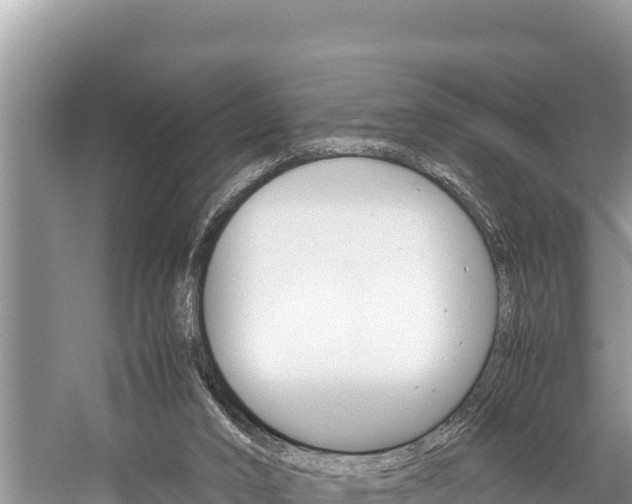 X0000059830016200510211034