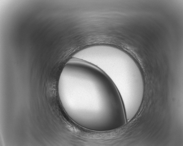 X0000059830017200510211034