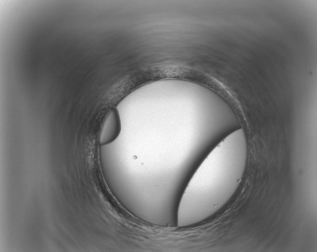 X0000059830018200510211034