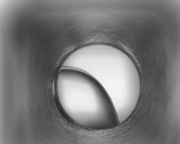 X0000059830019200510211034