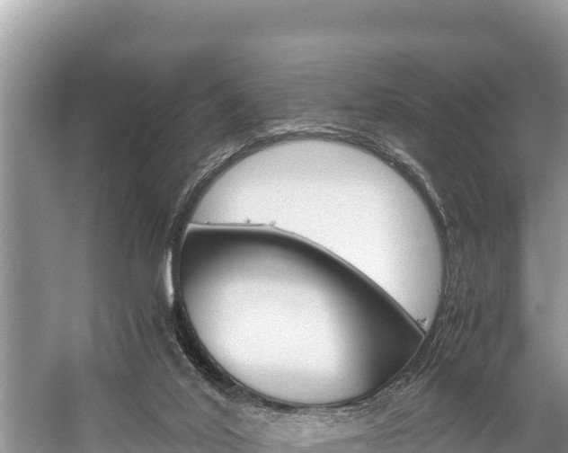 X0000059830020200510211033