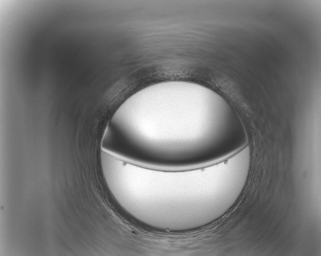 X0000059830021200510211033