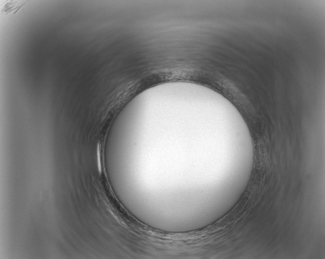 X0000059830022200510211033