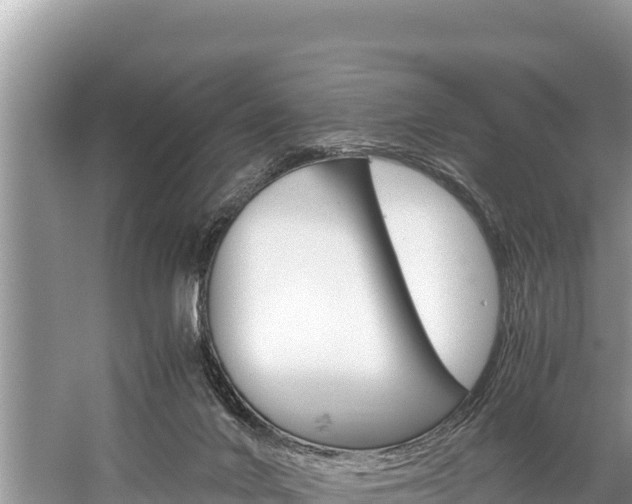 X0000059830024200510211033