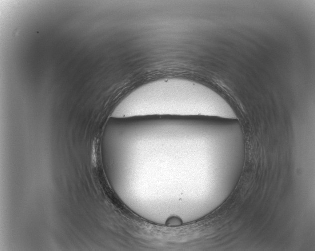 X0000059830026200510211033