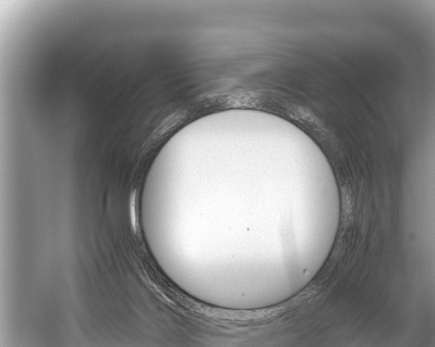 X0000059830028200510211033