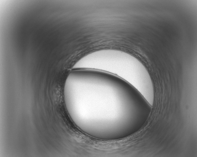 X0000059830029200510211033