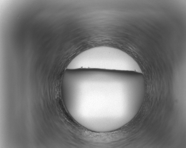 X0000059830030200510211033