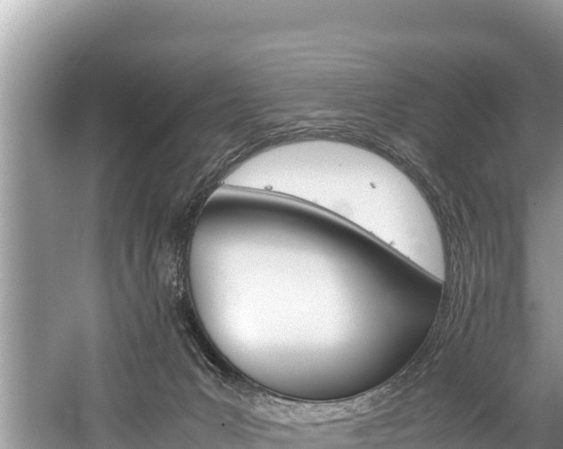 X0000059830031200510211033