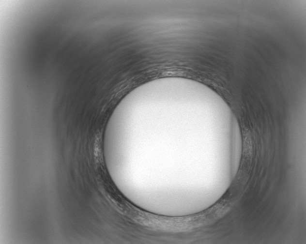 X0000059830032200510211033