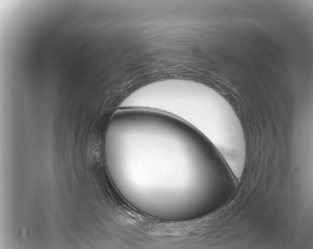 X0000059830033200510211033