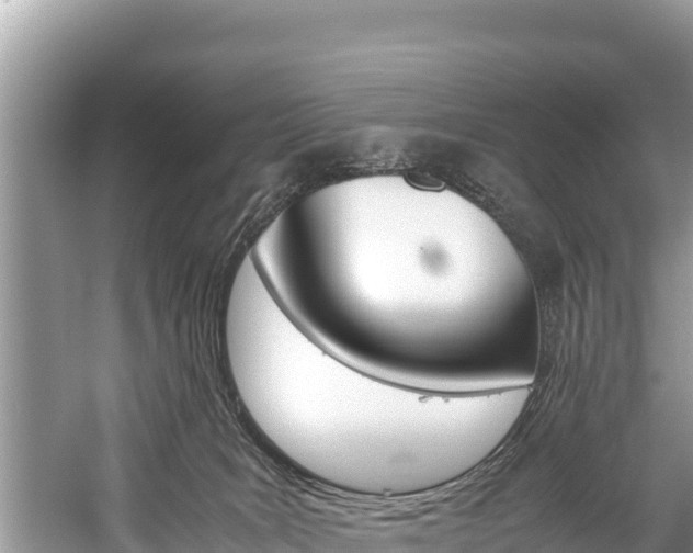 X0000059830035200510211033