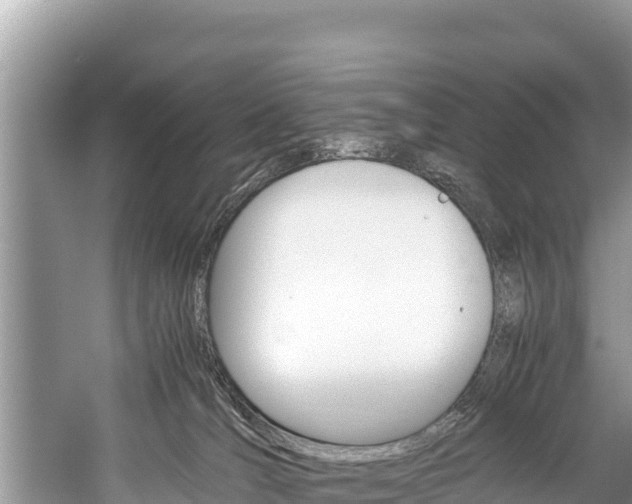 X0000059830036200510211033