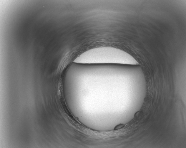 X0000059830038200510211033