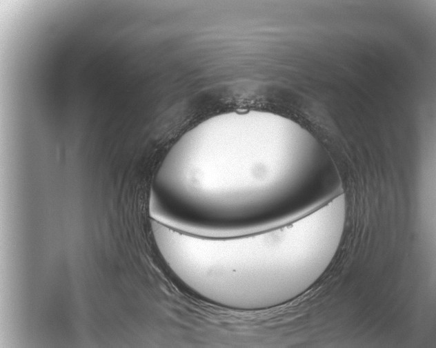 X0000059830039200510211033