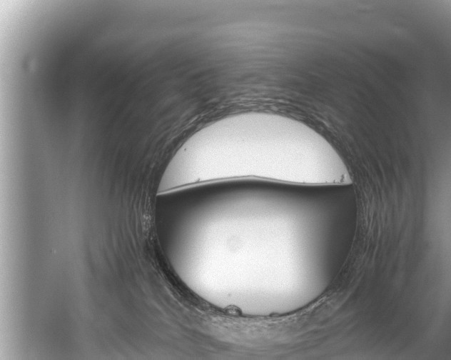 X0000059830040200510211033